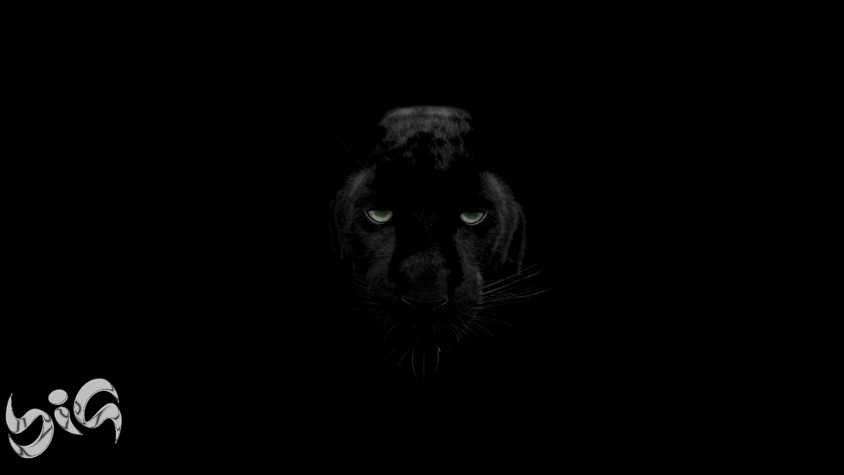 black_panther_Big